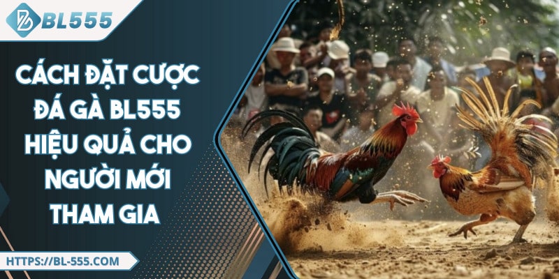 Cách Đặt Cược Đá Gà BL555 Hiệu Quả Cho Người Mới Tham Gia